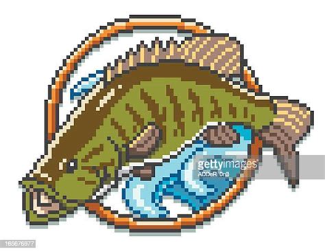 Illustrations Cliparts Dessins Animés Et Icônes De Bass Fish Clipart