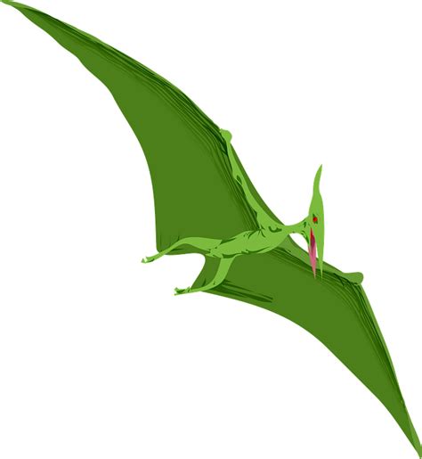 Flying Pterosaur Clipart Free Download Transparent Png Creazilla