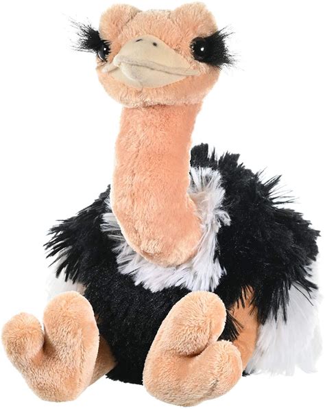 Ostrich Plush Stuffed Animal In 2021 Disney Stuffed Animals Teddy