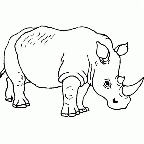 Safari Animals Coloring Pages At Free Printable