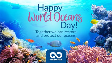 Happy World Oceans Day Together We Can Restore And Protect Our Oceans