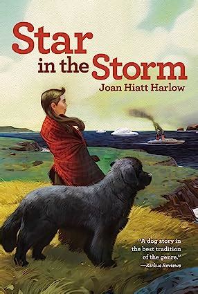 Star In The Storm Harlow Joan Hiatt 9780689846212 Books Amazon Ca