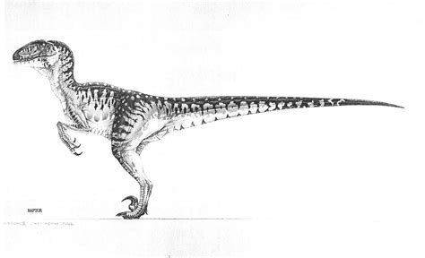 Velociraptor Deinonychus Concept Art Jurassic Park Wo