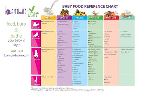 Baby first solid food chart. How to Make Homemade Baby Food in 5 Steps | Baby food ...