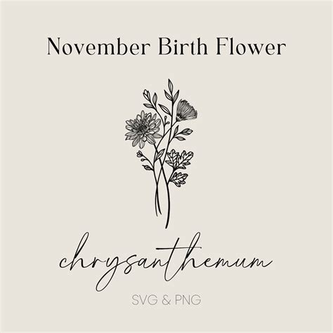 November Birth Flower Svg Png Chrysanthemum Flower File Digital