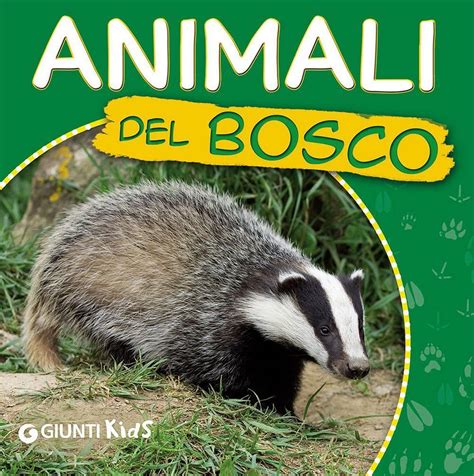 Animali Del Bosco Ecco Gli Animali Martina Boschi Libro Giunti