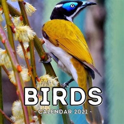 Birds Calendar 2021 Alive Jelly Press 9798740679884 Boeken