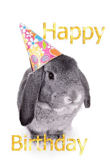 Happy Birthday Images With Rabbits💐 — Free Happy Bday Pictures And