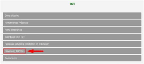 Consultar Rut Qu Es Y C Mo Consultarlo En L Nea