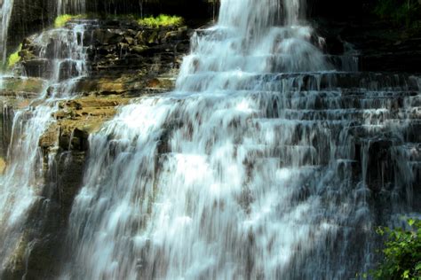 Forest Waterfall And Shadows Free Stock Photo Public