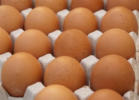 산란계 농가 계란 검사 결과 부적합 계란 회수폐기