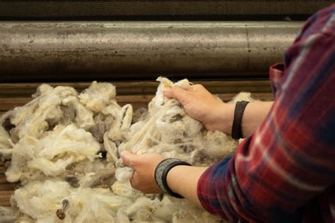 Woolen Processing In The Heart Of The Skagit Valley Skagit Woolen Works