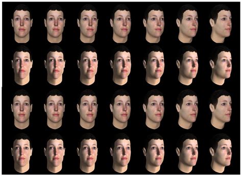 symmetry free full text factors affecting the perception of 3d facial symmetry from 2d