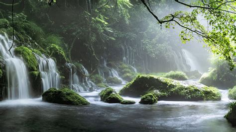 2560x1440 Spring Waterfall Stone Fog Mist Green Forest 8k 1440p