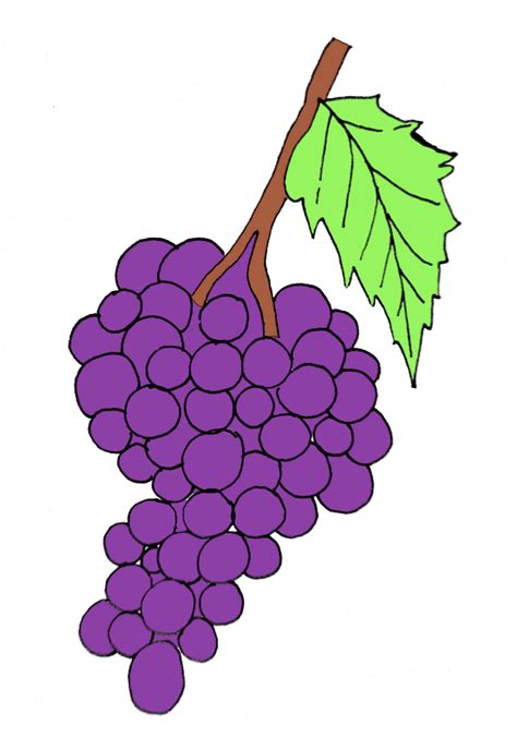 How To Draw Grapes In Less Than 10 Easy Steps Bujo Babe