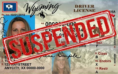 Wyoming Drivers License Restoration And Reinstatement Dlr