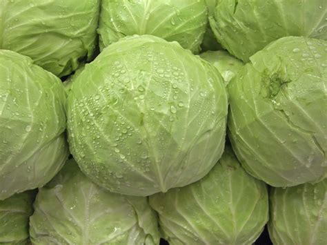 Repolho é Legumes Ou Verdura