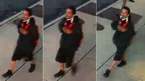 Police Release Photos Of Back Of The Yards Purse Snatching Suspect