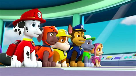 Nick Jr Paw Patrol Mix Ups On Vimeo