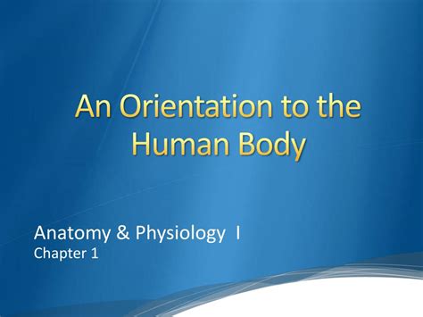 Ppt An Orientation To The Human Body Powerpoint Presentation Free