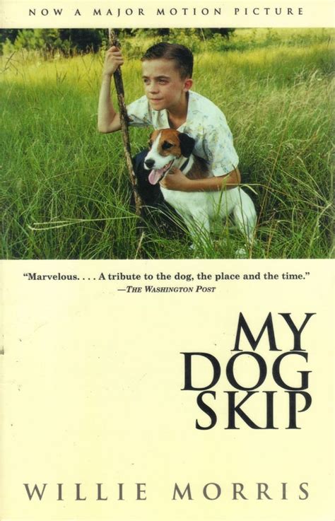 Picture Of My Dog Skip