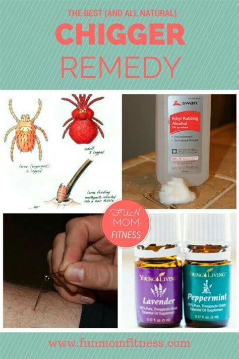 Pin On Essential Oil Remedies