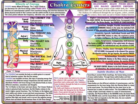Chakras Chart And Meaning My Xxx Hot Girl