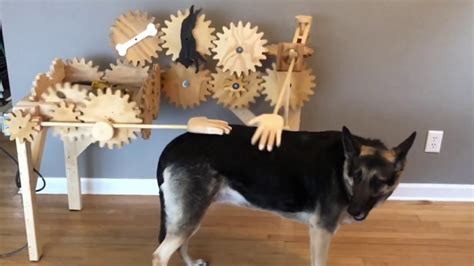 Automatic Dog Petting Machine Is Equal Parts Adorable And Functional