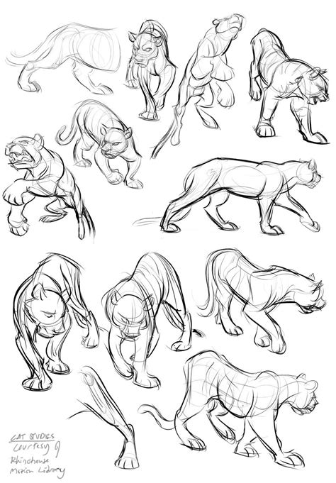 Mark the front of the muzzle. Cat Studies 9-02-13 by Totalmeep.deviantart.com on ...