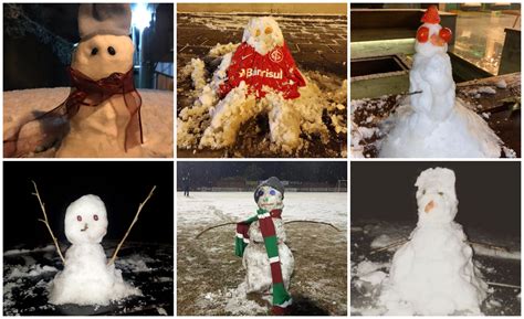 Bonecos De Neve Brasil