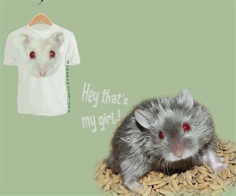 Hamster Design By Nazlicious R Hamnie Moy
