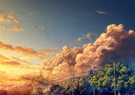 Clouds Forest Nobody Original Scenic Sky Sunset Tagmeartist Tree