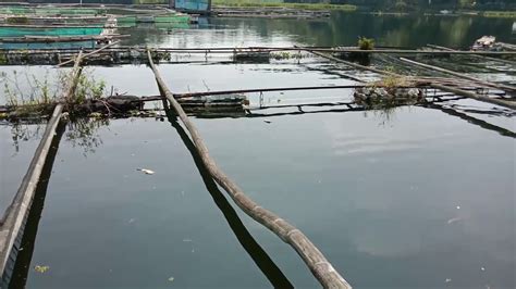 Harga tiket kolam renang taman mangkubumi taskmalayatiket rp 25.000ada salah satu wisata yang lagi diperbincangkan kembali di kota tasikmalaya yaitu kolam. Kolam apung - YouTube