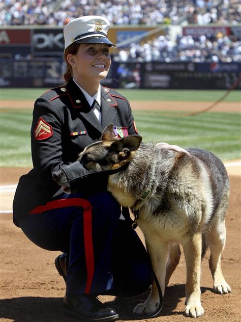 Real Life Megan Leavey Happy With Depiction Of Bond With Sgt Rex