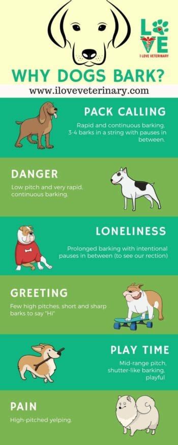 Why Do Dogs Bark I Love Veterinary