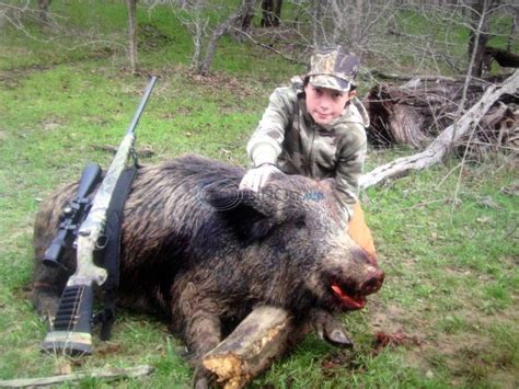 East Texas-based wild hog hunting competition opens Feb. 2 | Texas All ...