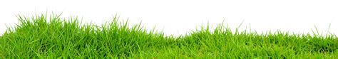 Grass Png Images