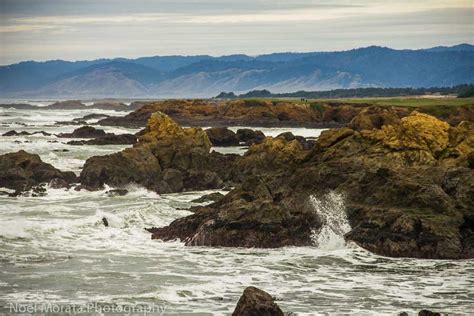 Things To Do Fort Bragg Visit California And Beyond