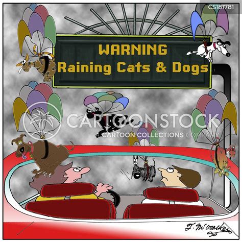 Raining Cats And Dogs Cartoons And Comics Funny Pictures From Cartoonstock