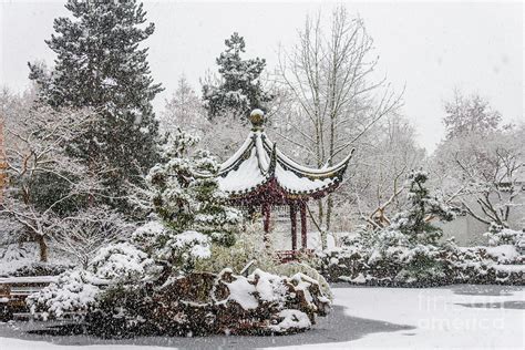 Dr Sun Yat Sen Classical Chinese Garden In Vancouver Photograph By