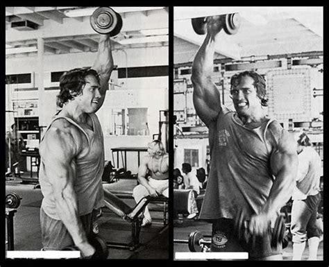 shoulders arnold s front raise fitness workouts and exercises shoulder workout arnold