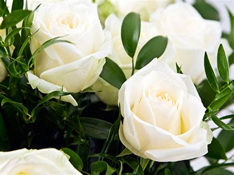 77 Funeral Background Pictures On Wallpapersafari
