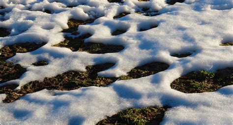 How To Protect Your Home From Melting Snow Park Insurance