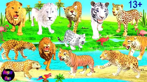 Big Cat Week Lion Tiger Jaguar Leopard Snow Leopard 13 Youtube