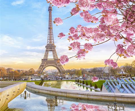 Sasi Wallpaper Eiffel Tower Cherry Blossobum Eiffel Tower Iphone