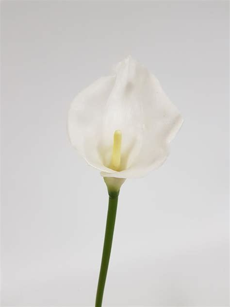Calla Lily Large White Real Touch Cm Desflora