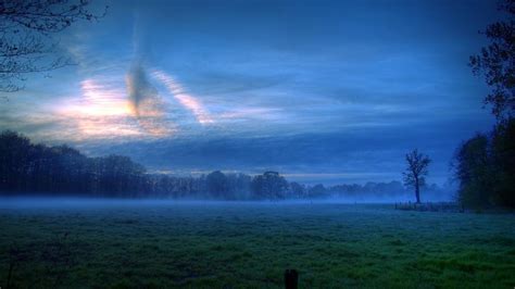 Foggy Sunrise On The Green Field Hd Desktop Wallpaper Widescreen