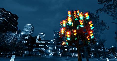 Traffic Light Tree Imgur