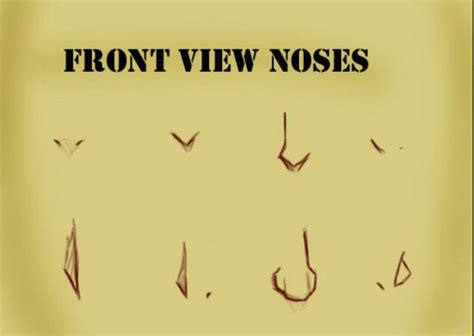 This particular body part is simple to sketch, but it has distinctive qualities that can make it a challenge to get just right. Front View Noses | Anime nose, Nose drawing, Manga drawing ...
