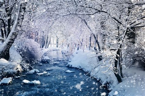 Beautiful Winter Landscape With The River Stock Photo By